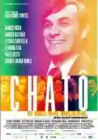 chato-poster-papo-de-cinema