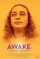 poster-de-awake-a-vida-de-yogananda-papo-de-cinema