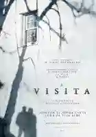 a-visita-poster-papo-de-cinema