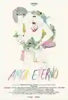 20170517 poster amor eterno papo de cinema