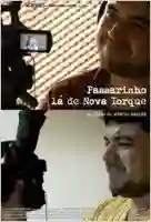 passarinho-la-de-nova-iorque-poster-papo-de-cinema