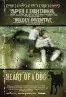 coracao-de-cachorro-papo-de-cinema