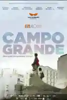 campo-grande-papo-de-cinema