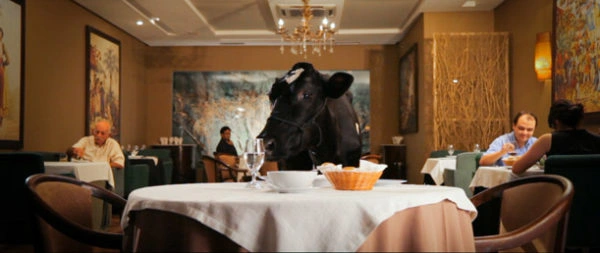 Animal Político 1 01-animal-politico-papo-de-cinema