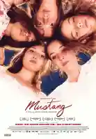 bolao-oscar-2016-melhor-film-estrangeiro-cinco-gracas-1