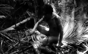 Cena de Serras da Desordem (2006)