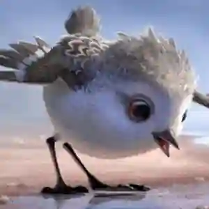 MV5BOWNlYTRhODAtMmMwMC00NTAwLWE4YzMtZGY2ZDg4M2MwZjUxXkEyXkFqcGdeQXVyNjMxODMyODU@._V1_SY1000_SX750_AL_