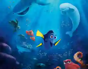dory