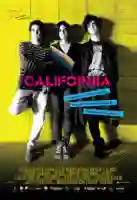 california-papo-de-cinema