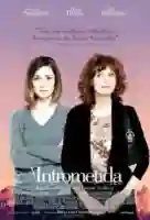 a-intrometida-papo-de-cinema