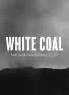white-coal-papo-de-cinema-poster-e1471022940173