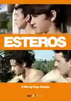 20160819 esteros poster