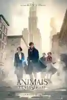 animais-fantasticos-e-onde-habitam-papo-de-cinema-cartaz