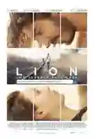 20161110 poster brasil lion