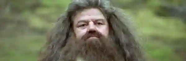 hagrid-papo-de-cinema