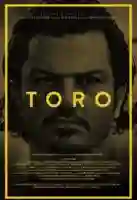 20161123 toro papo de cinema cartaz