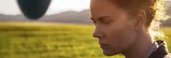 chegada-papo-de-cinema