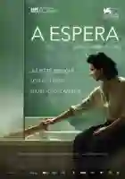 20170105 a espera papo de cinema cartaz