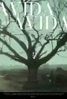 20170505 a vida apos a vida papo de cinema cartaz