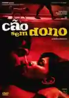20170523 cao sem dono papo de cinema