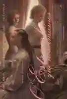20170530 o estranho que nos amamos papo de cinema cartaz