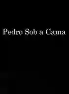 20170804 pedro sob a cama papo de cinema cartaz