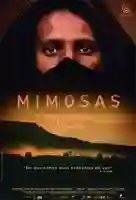20170816 mimosas papo de cinema cartaz