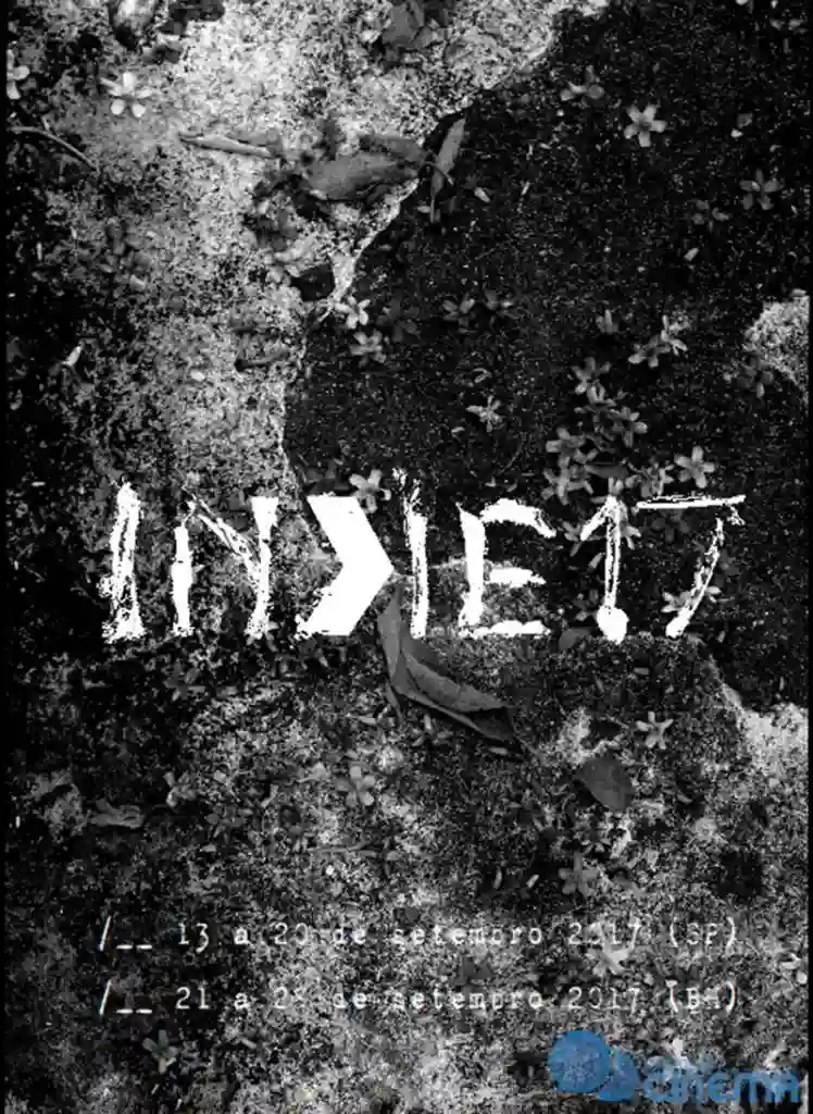 20170817 indie 2017