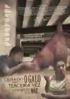 20171114 quando o galo cantar pela terceira vez renegaras tua mae papo de cinema cartaz