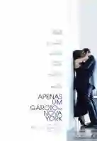 20171201 apenas um garoto em nova york papo de cinema cartaz
