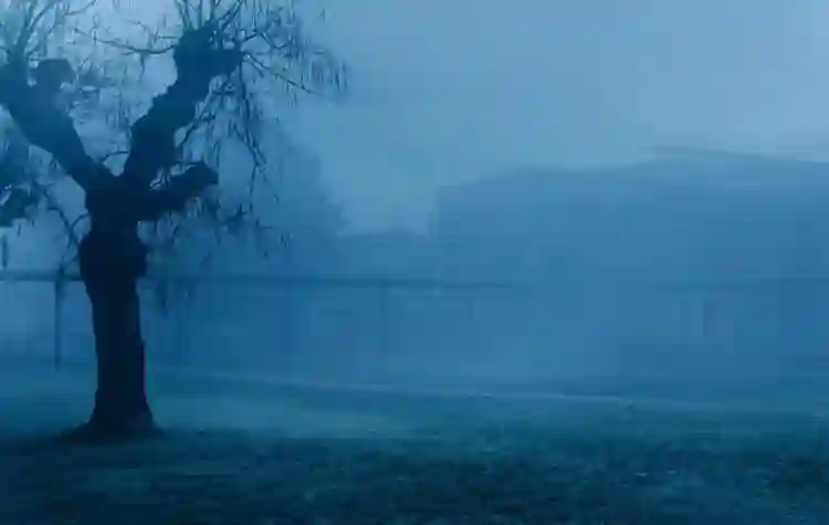 São Paulo e Rio de Janeiro recebem a Mostra Depardon Cinema 2 20171228 12 dias papo de cinema