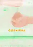 20190809 guaxuma papo de cinema cartaz