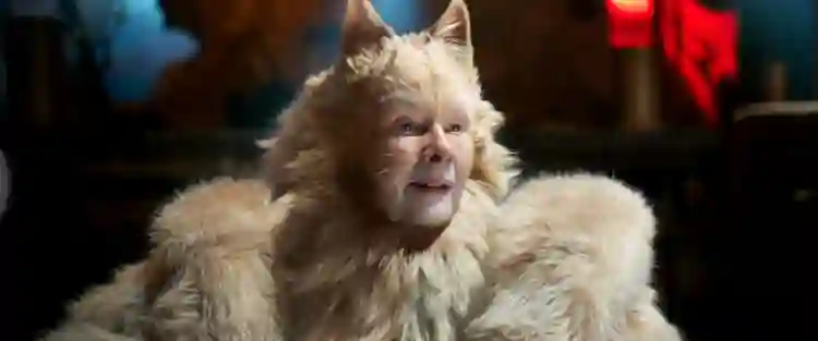 20191223 cats carrossel