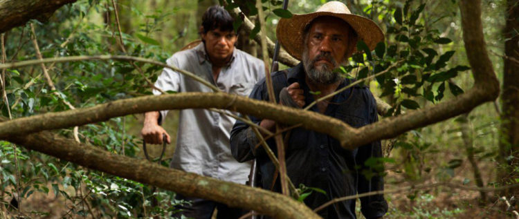 Matar A Un Muerto Papo De Cinema