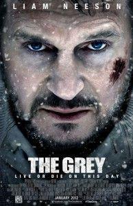 51 liam neeson papo de cinema 7