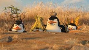 os pinguins de madagascar papo de cinema 05