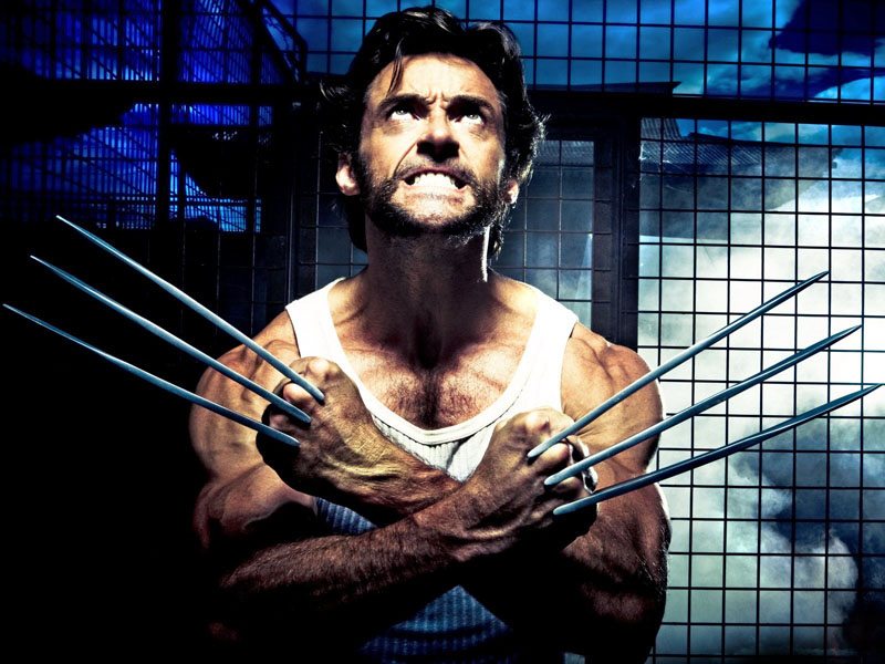 20240809 wolverine papo de cinema