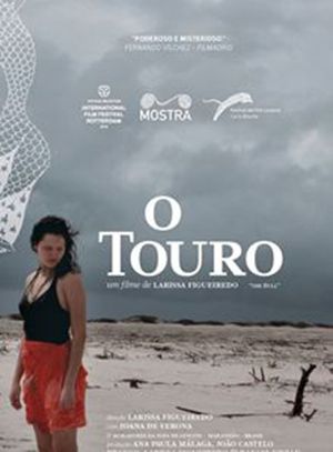 20170405 o touro papo de cinema cartaz