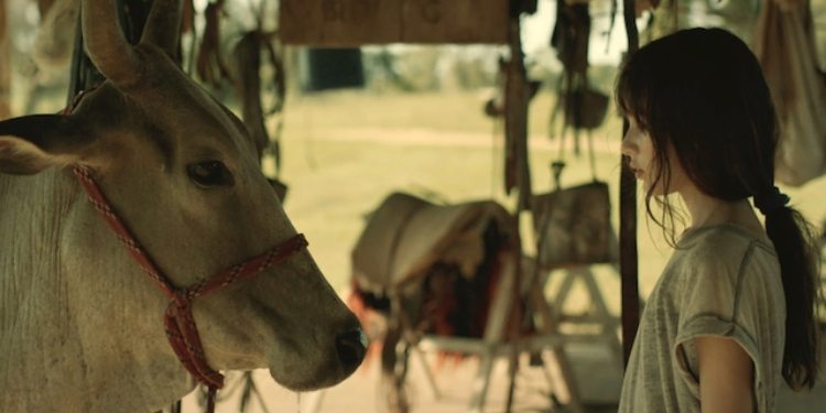 Festival do Rio exibirá "Minha Mãe é uma Vaca"