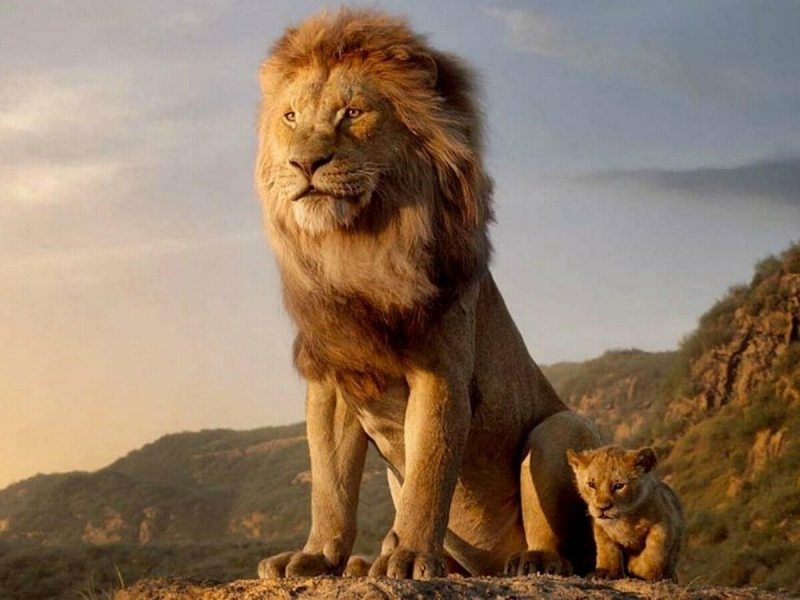 Mufasa: O Rei Leão :: Anunciados os primeiros dubladores da versão brasileira