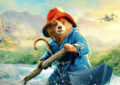 20241108 paddington 3 papo de cinema 800